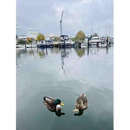 Hotel na wodzie Ahoy Masal Modern Retreat Lubeka