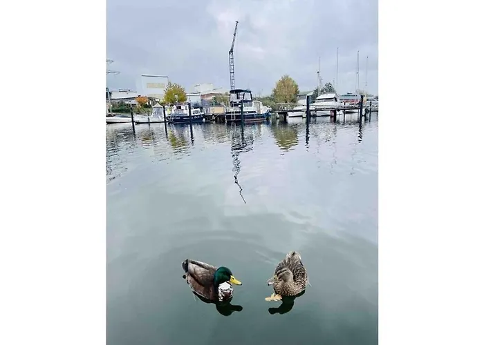Botel Ahoy Masal Modern Retreat Lübeck